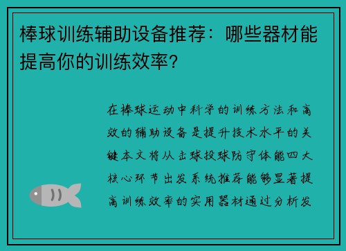 棒球训练辅助设备推荐：哪些器材能提高你的训练效率？
