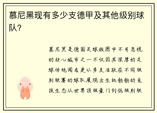 慕尼黑现有多少支德甲及其他级别球队？